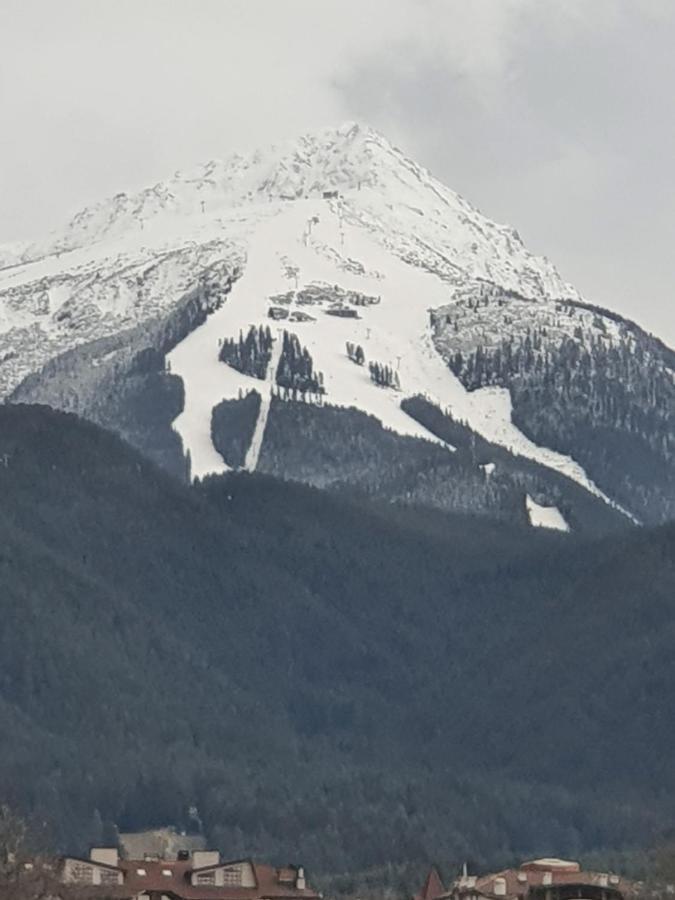 Тодор Прегьов Bansko Eksteriør billede